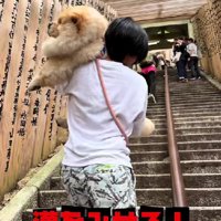 米俵作戦に切り替えよう！！