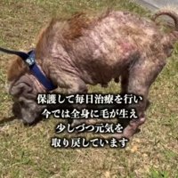 少しずつ改善され…