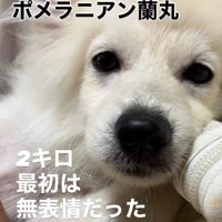 感情を出さないタイプ