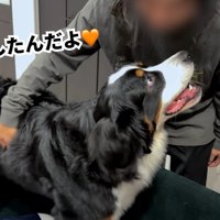 とっても嬉しそう♡