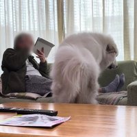 「よいしょっと」