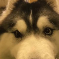 たまらない光景…♡