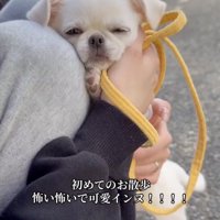 ママに励ましてもらいます