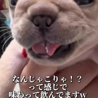「なんじゃこりゃ？」