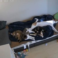 みんなのお気に入りの場所