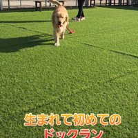広い芝生に大喜び！！