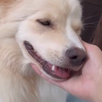 ぼーちゃんの変化4