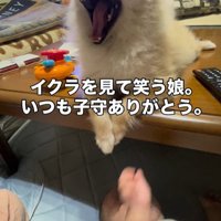 イクラちゃんと赤ちゃん4