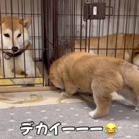 冒険中の笑太郎くん