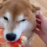 ビフォー