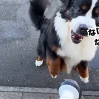 楽しそうに大暴れ♪