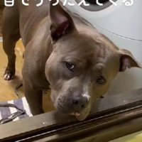 「取ってください…」
