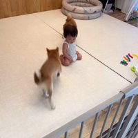 肝の座った赤ちゃんに感嘆