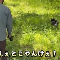 その後は公園でピクニック