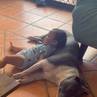 ゆめちゃんに寝そべるハリーくん