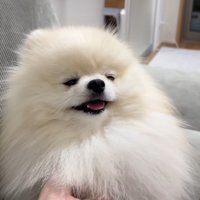 ナデナデされてうっとり♡