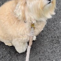 オヤツ