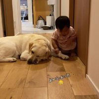 先に進むことができない