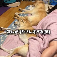 動く気ゼロ（笑）