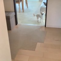 寂しそうにお見送り