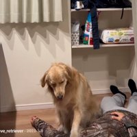 左手を乗せるイヴちゃん