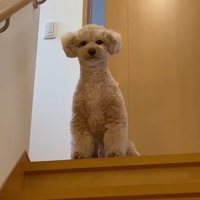 「お迎えに来るのが遅い！」と不満そう