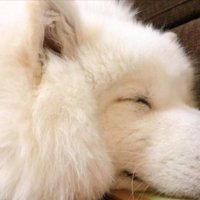 立派