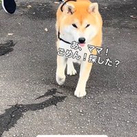 ぶん太くんとパパさんのお散歩6