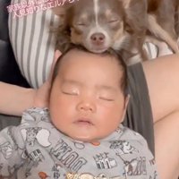 エルアちゃんと赤ちゃん2