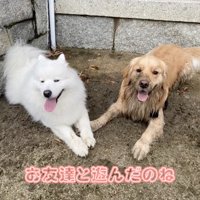 「たのしいよ」
