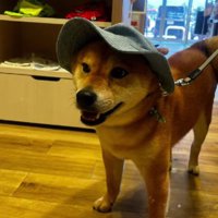 アウトドアな帽子も素敵