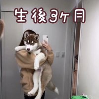 るい君の成長記録3