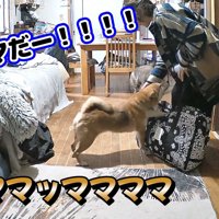 感動の再会！