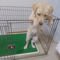 扉を開けてあげたら…