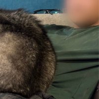 ソファでくつろぐ飼い主さん