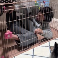 ヒメサンのケージの中！！