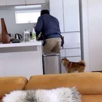 「次はどこー？」