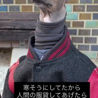 違和感なさすぎる姿にキュン♡