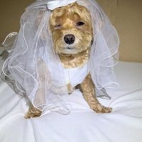 溜息まで聞こえてきそう