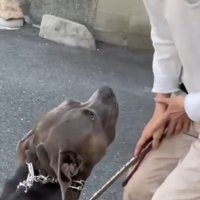 まるで会話をしているかのよう