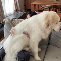 子犬感覚が抜けきらない♡