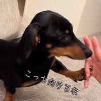 嫌がるオーレくん