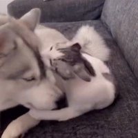 くぅちゃんを離さないりりたん3