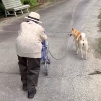 寄り添いながら歩くふたり