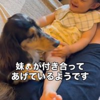 楽しそうな子どもとちょっと困っている犬