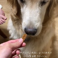 オヤツを近づける飼い主さん