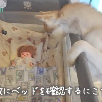 ベッドを覗いたにこちゃんは…