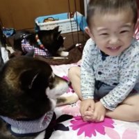 ろぶくん、だいすき