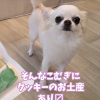 「おみやげもあるの！？」