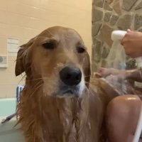 虚無顔だけれど、されるがまま！